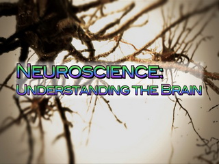 Neuroscience: Understanding the Brain