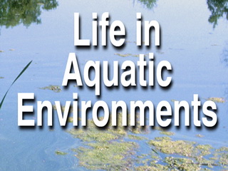 Life in Aquatic Environments