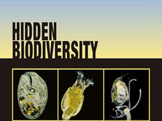 Hidden Biodiversity