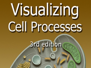 Visualizing Cell Processes