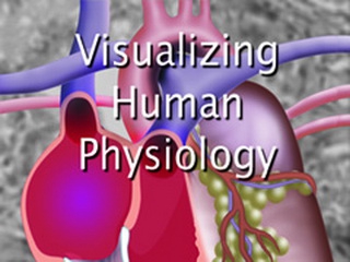 Visualizing Human Physiology