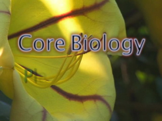 Core Biology