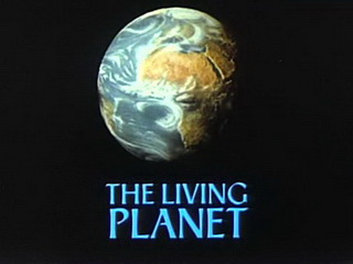 The Living Planet